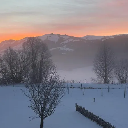 Apartment Alpengarten Klaus - Hunde Willkommen Mit Garten *