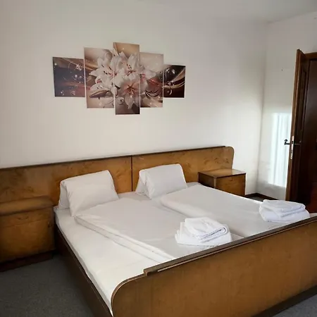 Apartment Alpengarten Klaus - Hunde Willkommen Mit Garten Kirchberg in Tirol